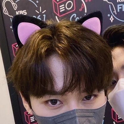 skittlez ♡ kitten m¡nho brainrot ♡ mainly 🐰🐿️ ♡ nsfw ♡ sfw and minors dni ♡ officials blocked ♡ https://t.co/upa1lZ5DEy