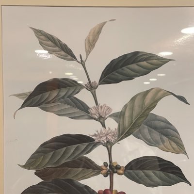 912Anand's profile picture. 