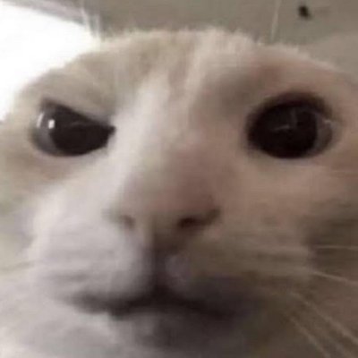 OakyTree_'s profile picture. dumb fuck