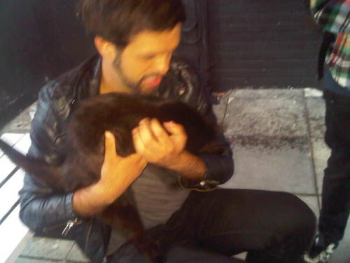 DarrylMarsden's profile picture. 