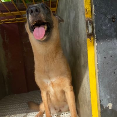 sdrap01's profile picture. Konpards