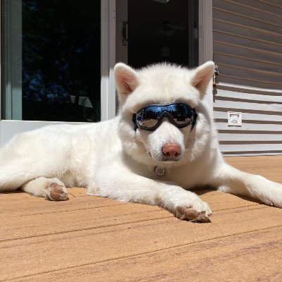 GeraldintheWood's profile picture. 