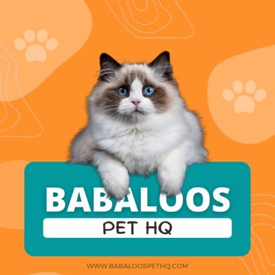 Here at Baba0loo's Pet HQ we provide everything you need for your little fur babies.