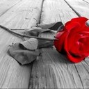 Renee McCarter - @Renoddles - Twitter