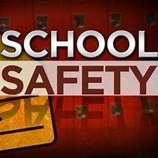 School Safety and Security Professional