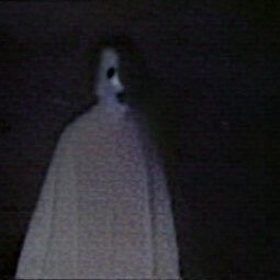MexicanDolemite's profile picture. 