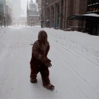 William F. Swiggart (@billswiggart) 's Twitter Profile Photo