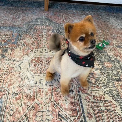 teaston's profile picture. 