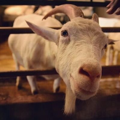 fazila_offl's profile picture. Hodophile🍀 : Dendrophile🍀 #SoomanStan 💫