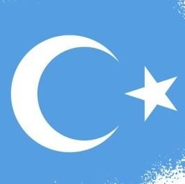 UnitedwtUyghurs Profile Picture