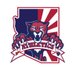 Perry High Athletics (@perry_pumas) Twitter profile photo