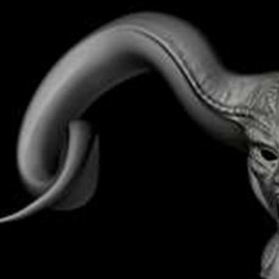 mickybadyal66's profile picture. Being an *Open Minded*  has nothing to do with creed, colour, religion or even sexual orientation. It is simply a state of mind and iI aspire.