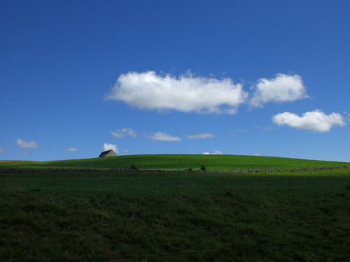 balmasiq's profile picture. 