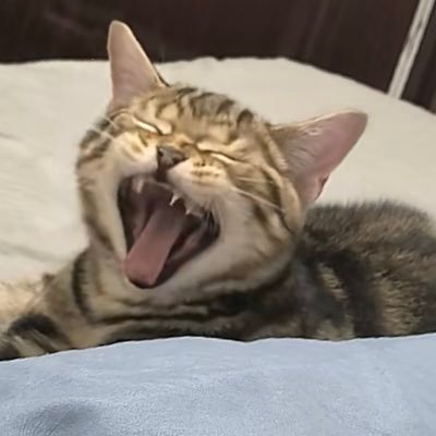 Strongplanet999's profile picture. 