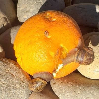 MikeTurbanDirty's profile picture. 💲