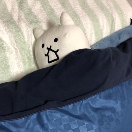 idkjustArmin's profile picture. idk no one really.
talcord dni