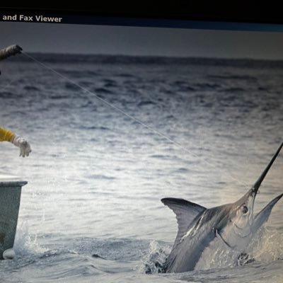 Hard working patriotic American animals. veterans. Cabo fishing. Red Sox no DMs. Niners don’t take any crap. I tell it like it is