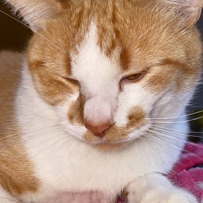 Mariiavclaro's profile picture. 