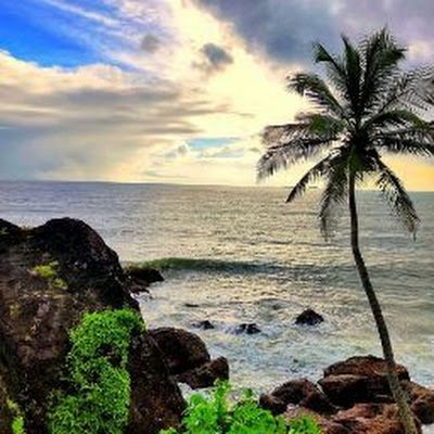 siddhes18234400's profile picture. 