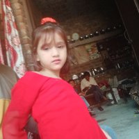 Sadiq Faridi (@sadiqfaridi2) 's Twitter Profile