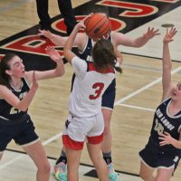 Paige Lofing (@plofing3) 's Twitter Profile