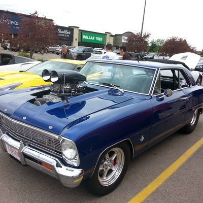 catinth53675208's profile picture. sports, sports gambling, cats, #LetsGoOilers ,,#OilKings,  #Seahawks12, #Cowboys.
Carney must be eliminated. Stop WEF Globalism. Save Alberta, NO DM'S ×