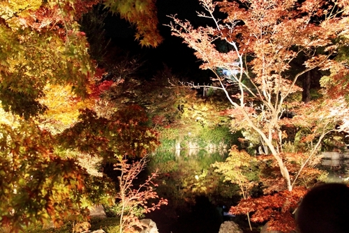 草加市に住んで３５年になりました。 最近デジ一に興味が湧いてきています。 いい写真が撮れるといいなぁ～(^^;;