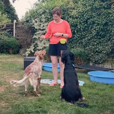 Pawrent to Ziggy and Kenzo the setters; Lapsed runner: @bvharriers; reader; foodie; feminist; Shelfie: @RunBookshelfFB; Work stuff: @AquilineHR