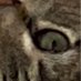 gnnfzz (@gnnfzz) Twitter profile photo gnnfzz (@gnnfzz) Twitter profile photo