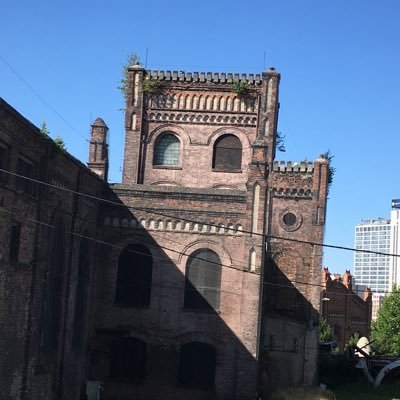 pioglo8510's profile picture. Lepiej o sobie niż za plecami o kimś