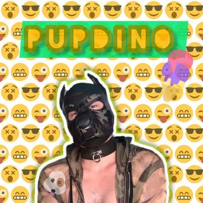 ❤️🧡💛💚💙💜🖤🤎 18+ Hi, I’m pup Dino! love showing off and getting into trouble! Alfa pup to @AusCGay. 💕😈 let’s hangout!