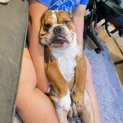 jpasicat's profile picture. Forever Gloomy Weather