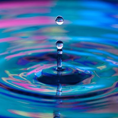 fluxd7's profile picture. 