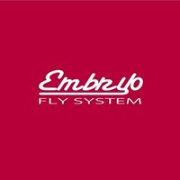 フライオーツーの中のヒトEmbryoFlySystem (@embryoflysystem) 's Twitter Profile