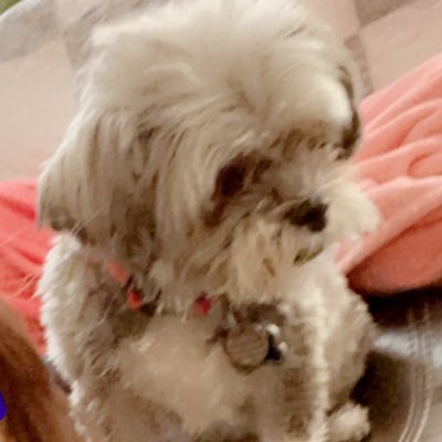 peyton_yeahhhh's profile picture. 