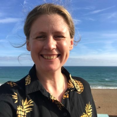 DrSianF's profile picture. Nanoscientist, triathlete, climber, runner, feminist, wife to @elliedragonetti, mother. Member of @WEP_UK. All views my own. (she/her)