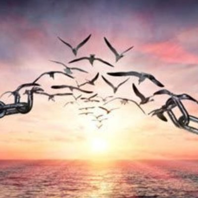 AndJustice27's profile picture. Humanitarian. Supporter of civil and human rights for all.