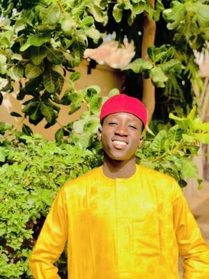 IncredibleBhoow's profile picture. smile with laughter 😁🤣🤣
Twitty 🕊️🕊️🕊️
northern 🇳🇬🇳🇬
Hustle hearted ❣️
