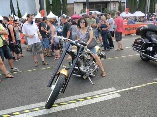 ROSAMESTRES2's profile picture. Voluntària de Progat a una colònia controlada de gats