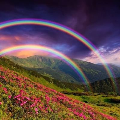 Leave_us_be's profile picture. 