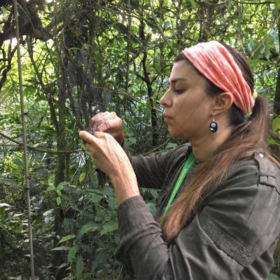 Biologist-Ornithology @UniversidadCR/
Researcher @stri_panama /
Conservation Projects @ACGuanacaste /
Instructor @ciee_news /
Editor @RevBiolTrop