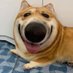 A (@7pqvmd9r9t) Twitter profile photo A (@7pqvmd9r9t) Twitter profile photo