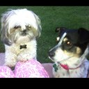 Dianna DeLaGarza - @DiannaLeeDLG - Twitter