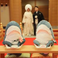 がき子 (@10ymk) 's Twitter Profile