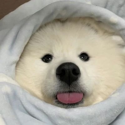 wx88402932's profile picture. 