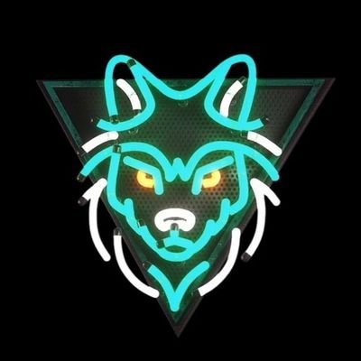 javiirdgz's profile picture. 