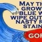 #VOTEBLUENOMATTERWHO #Join the RESISTANCE Get rid of the GOP  keep the BLUE MOVING  NoDM!!!