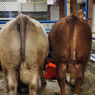 awfuldreamer2's profile picture. Poet•Mom•CPRS

Harm Reduction Saves Lives

Poetry @unlawfulzipper