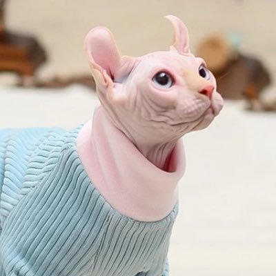 normal jeansさんのプロフィール画像