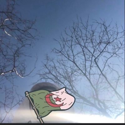 bdrblhss2's profile picture. LE M CHICO